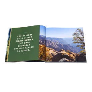 Los Caminantes De Octubre - Libro de Arnoldo de la Rocha.