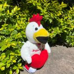 PELUCHE POLLO CORAZÓN